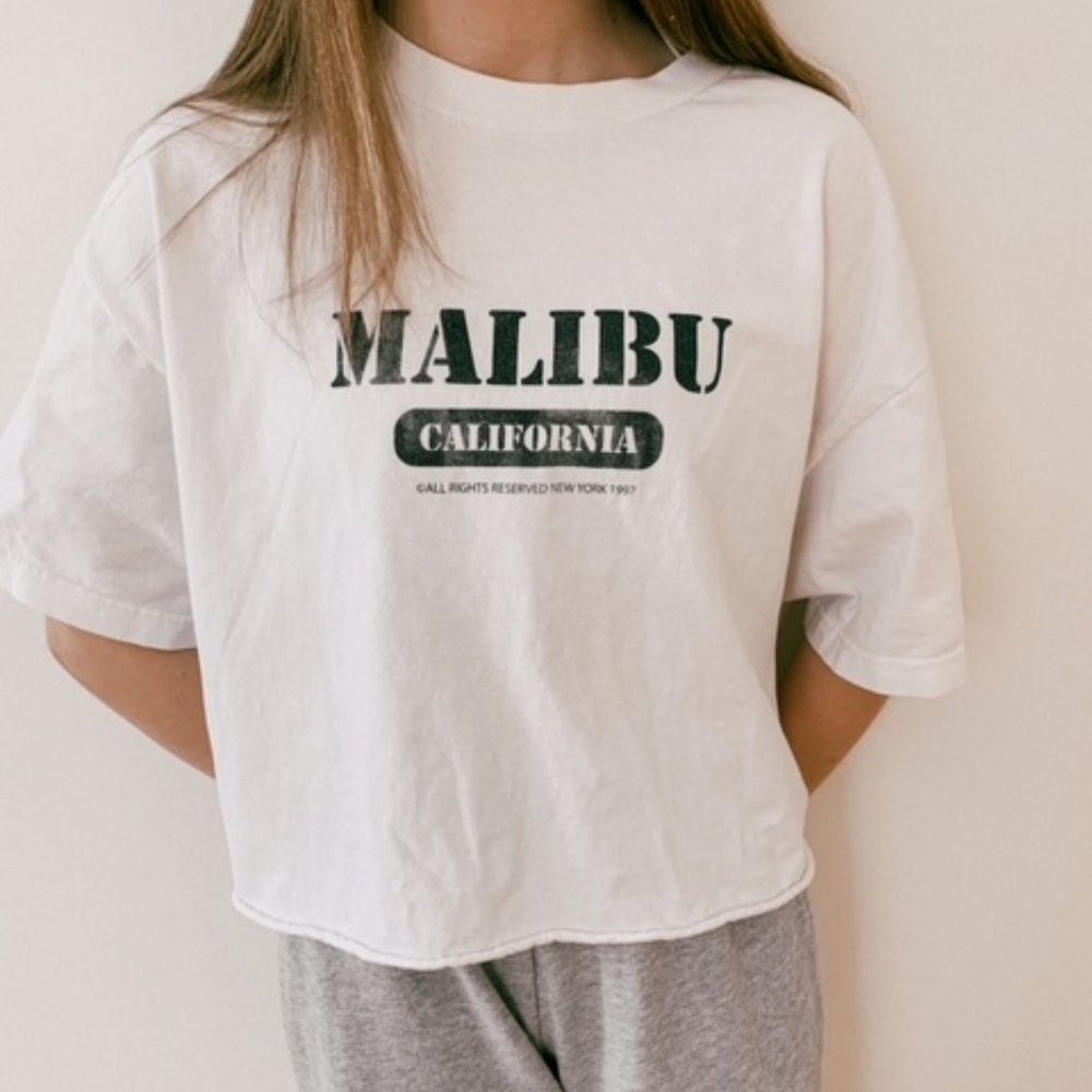 john galt/brandy melville malibu cropped tee